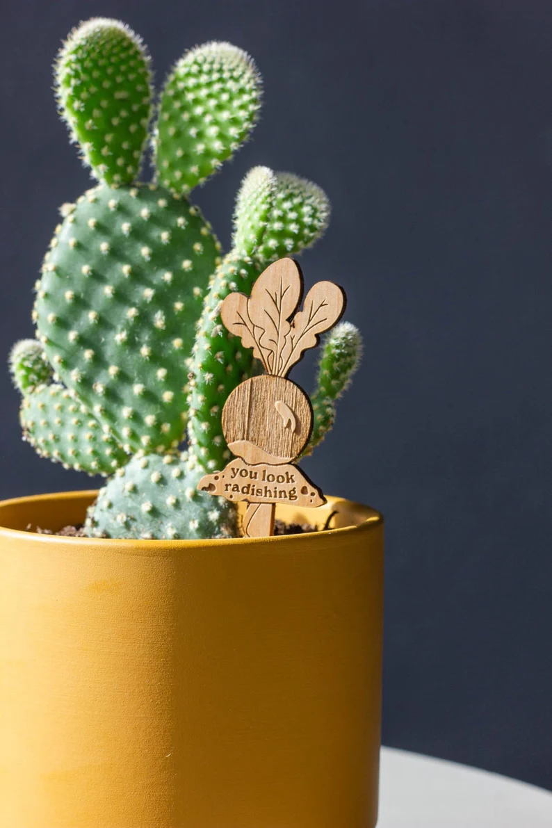 Plant Potted Plant Markers