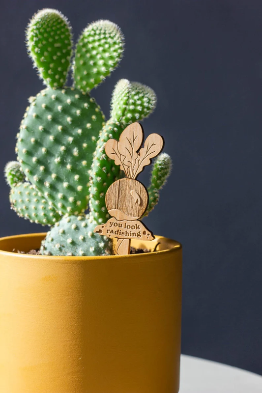 Plant Potted Plant Markers