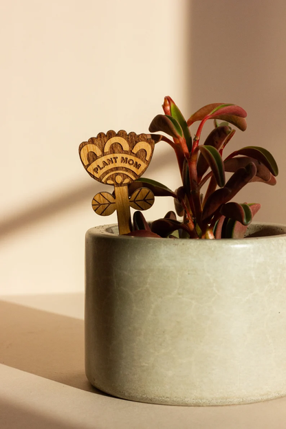 Plant Potted Plant Markers