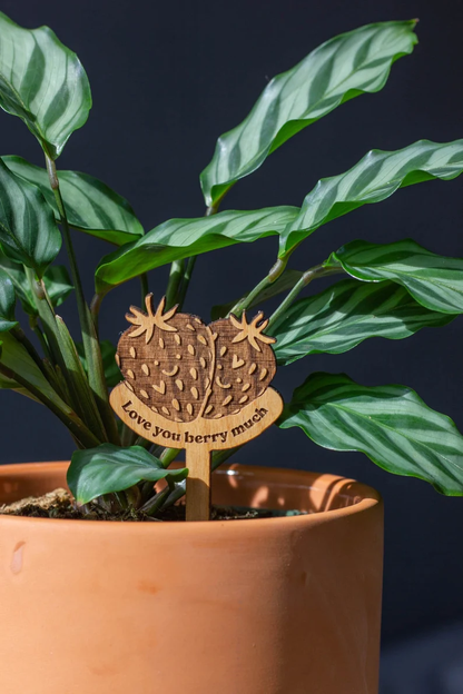 Plant Potted Plant Markers