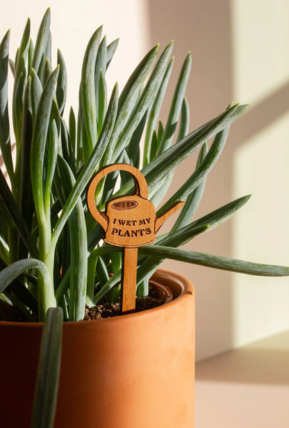 Plant Potted Plant Markers