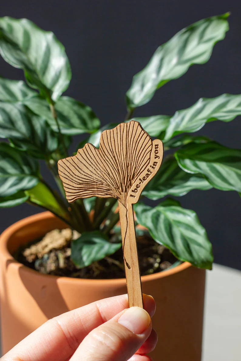 Plant Potted Plant Markers