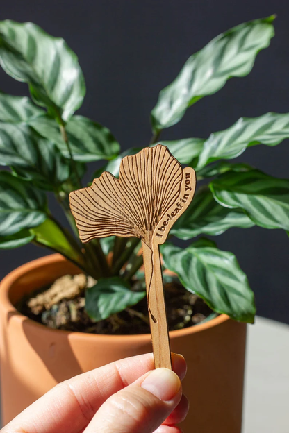 Plant Potted Plant Markers