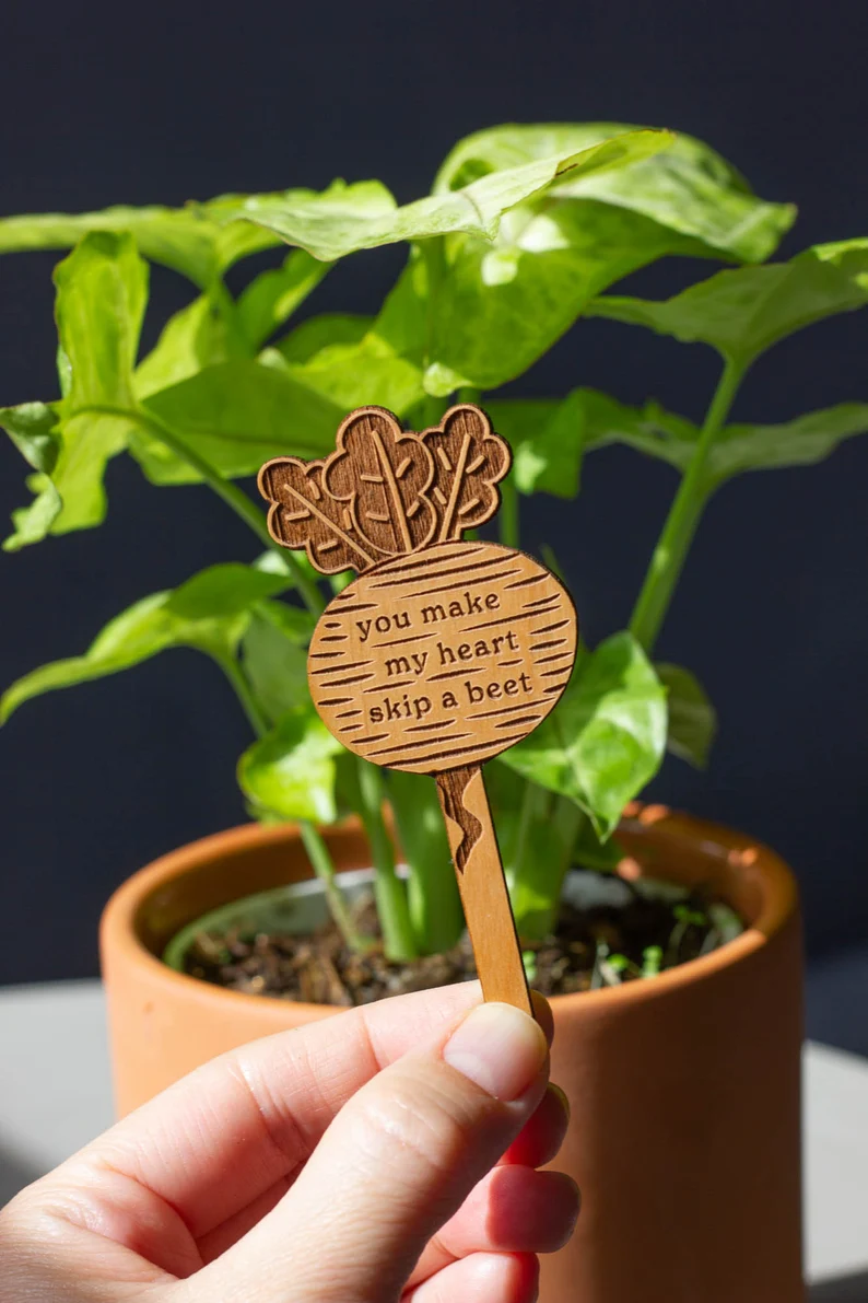 Plant Potted Plant Markers