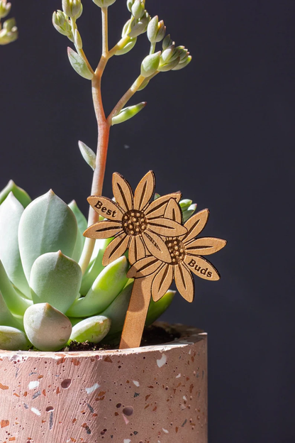 Plant Potted Plant Markers