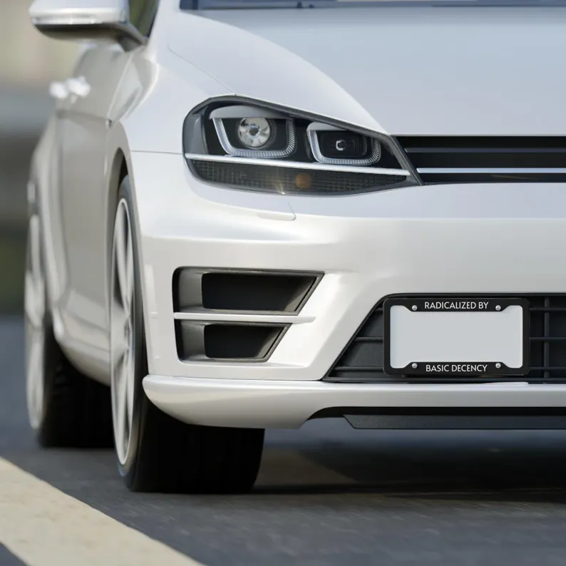 Fun and unique license plate frames