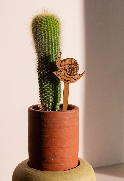 Plant Potted Plant Markers