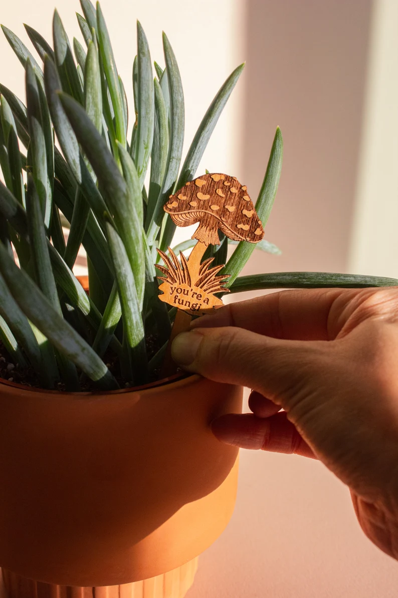 Plant Potted Plant Markers