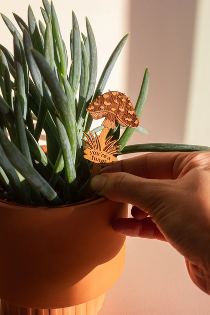 Plant Potted Plant Markers