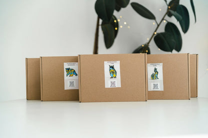 Forest Animals Set with DIY Coloring Kit