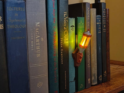 Fantasy Torch Book Nook